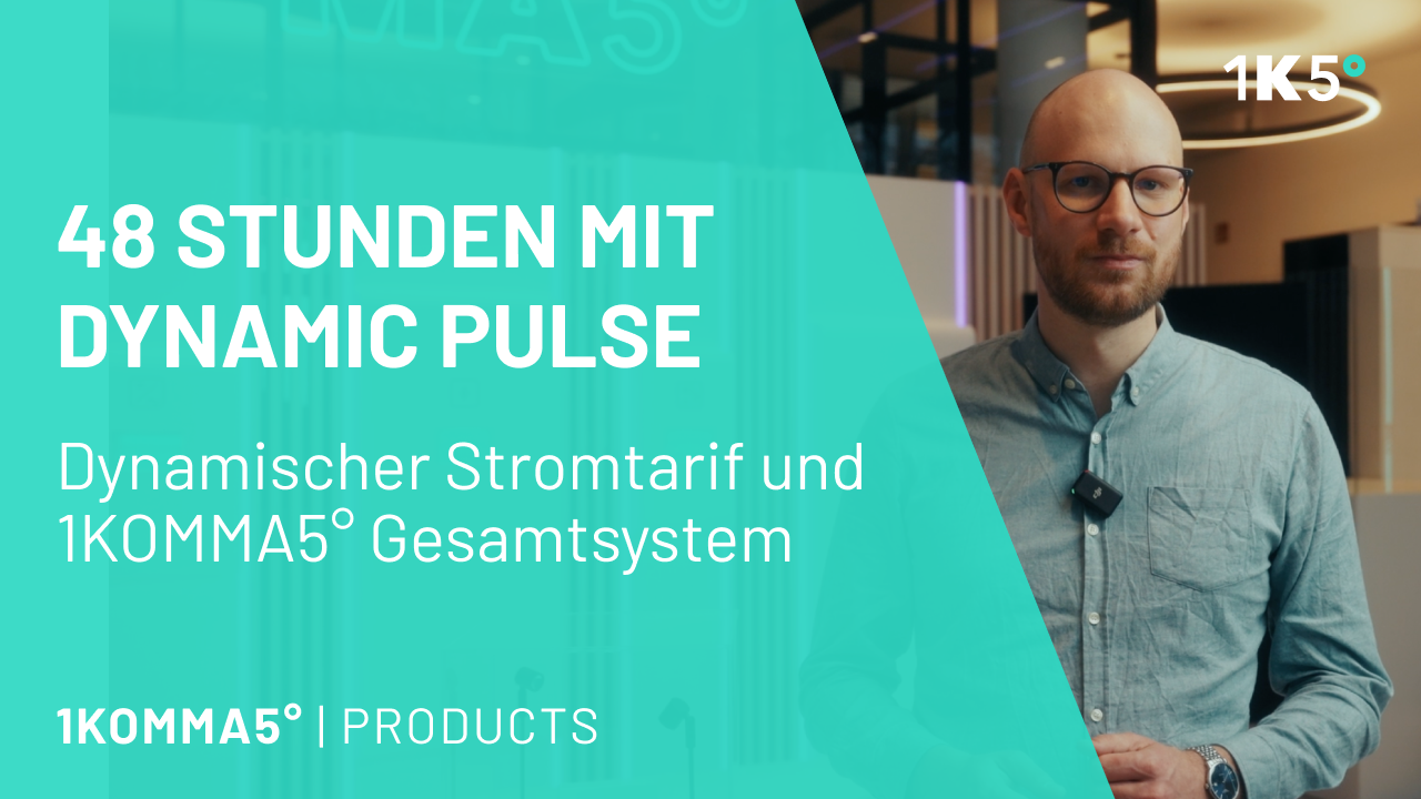 Jannik Schall erklärt den Dynamischen Stromtarif Dynamic Pulse