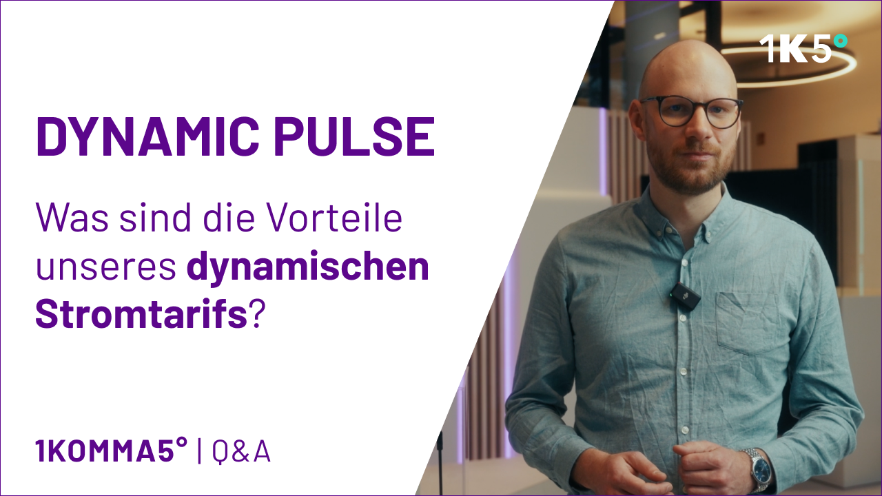 Jannik Schall erklärt den Dynamischen Stromtarif Dynamic Pulse